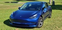 Tesla Model 3 2021 Blue