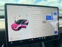 Tesla Range Sport 2021 Pink